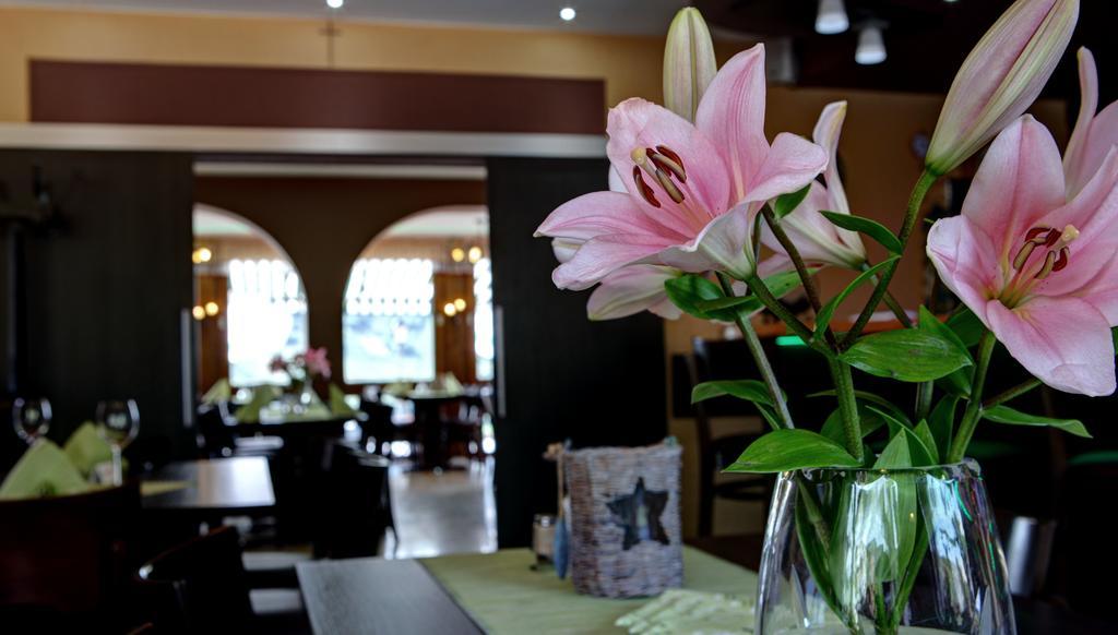 Hotel Restaurant Moselblick Вінтріх Екстер'єр фото